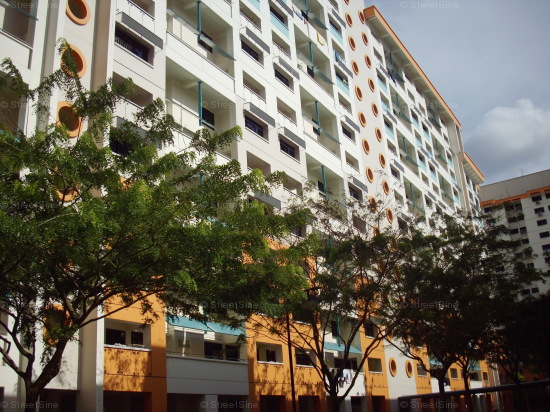 Blk 288C Jurong East Street 21 (Jurong East), HDB Executive #163292
